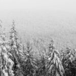 how-to-make-your-christmas-brighter-with-linux