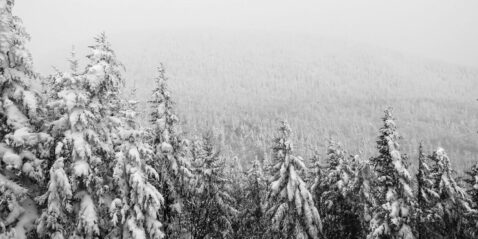 how-to-make-your-christmas-brighter-with-linux