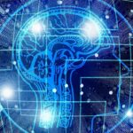 how-to-install-and-set-up-anaconda-on-ubuntu