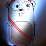 validating-go-structs-using-govalidator