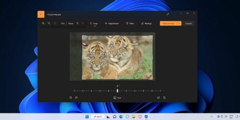 6-ways-to-crop-images-in-windows-11