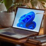 how-to-get-started-with-the-windows-11-taskbar-search-bar