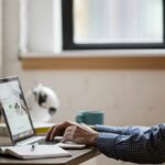 how-to-use-the-tee-command-to-split-terminal-output-on-linux