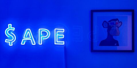 what-is-an-nft-collection?-the-top-5-nft-collections-revealed