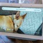 automate-your-home’s-lighting-for-just-$80-with-this-google-nest-hub-&-wyze-bundle-deal