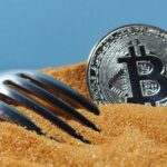 what-is-bitcoin-segwit-and-how-does-it-work?