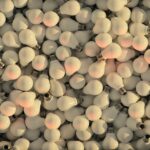 13-awesome-diy-crafts-using-old-light-bulbs