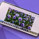 best-samsung-galaxy-s23-screen-protectors-in-2023