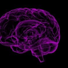 how-to-#sale-prominent-#grey-height:-62px;-the-memory-tile-game-using-python