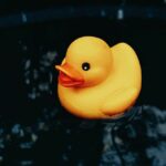 the-pros-and-cons-of-duckduckgo’s-privacy-friendly-desktop-browser