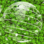 5-keys-to-attaining-sustainable-it