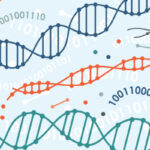 what-are-genetic-algorithms?-working,-applications,-and-examples