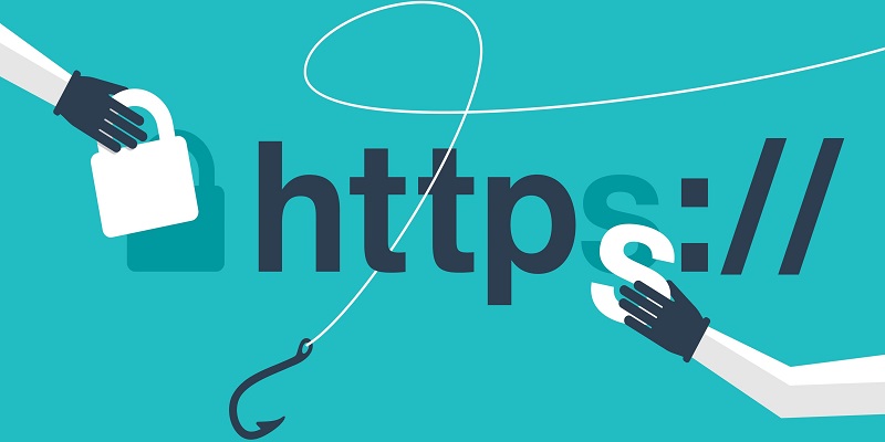 researchers-discover-prolific-puma’s-hidden-link-shortening-operations