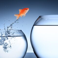 best-practices-for-new-it-managers:-it-strategy