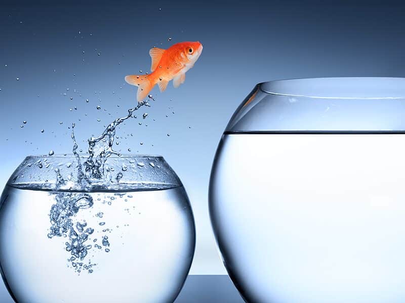 best-practices-for-new-it-managers:-it-strategy