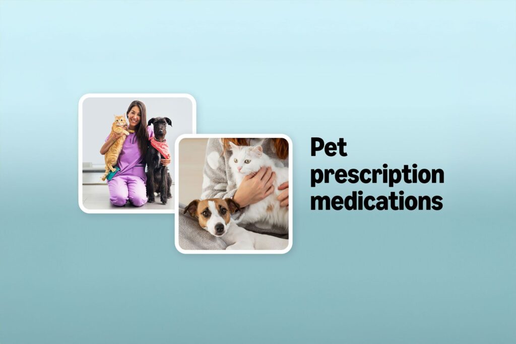 next-time-you-shop-on-amazon,-you-can-grab-pet-medications-too