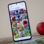 7-google-photos-alternatives-worth-considering