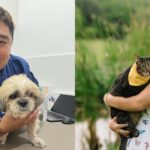 these-2-s’poreans-claim-they-can-“talk”-to-animals—and-some-are-paying-for-their-services