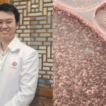 this-malaysian-wellness-centre-offers-“cellular-regeneration.”-what’s-that-about? 