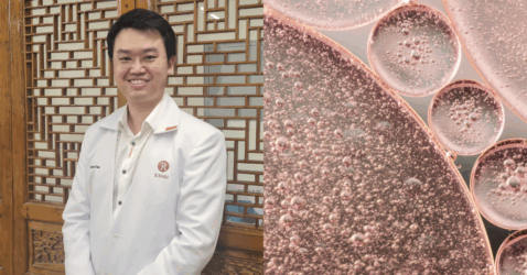 this-malaysian-wellness-centre-offers-“cellular-regeneration.”-what’s-that-about? 