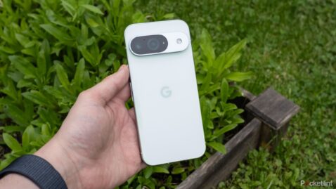 the-pixel-jumps-ahead-of-a-surprising-competitor-in-us-sales-race