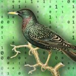 birds-and-bytes:-how-one-youtuber-taught-a-starling-to-store-and-retrieve-data