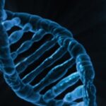 the-app-store-for-your-genes-is-coming-–-your-dna-is-the-product
