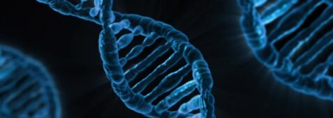 the-app-store-for-your-genes-is-coming-–-your-dna-is-the-product