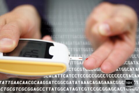 gene-edited-cells-produce-insulin-without-anti-rejection-drugs-in-diabetes-first