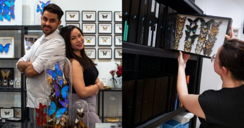 after-their-9-to-5,-this-couple-brings-new-life-to-the-dead-at-s’pore’s-1st-taxidermy-studio