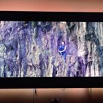 this-$5-accessory-turned-my-tv-into-a-premium-feeling-screen
