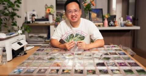 concept-grading-proves-that-trading-cards-aren’t-just-child’s-play—they’re-serious-business