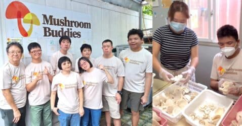 these-locally-grown-mushrooms-help-persons-with-disabilities-find-work-and-earn-a-real-salary