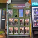 with-soaring-rents-&-manpower-costs,-are-vending-machines-the-new-affordable-storefronts?