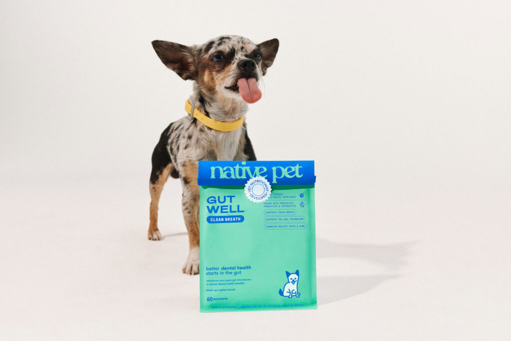 5-vet-approved-ingredients-to-dodge-(and-5-to-demand)-in-your-dog’s-food