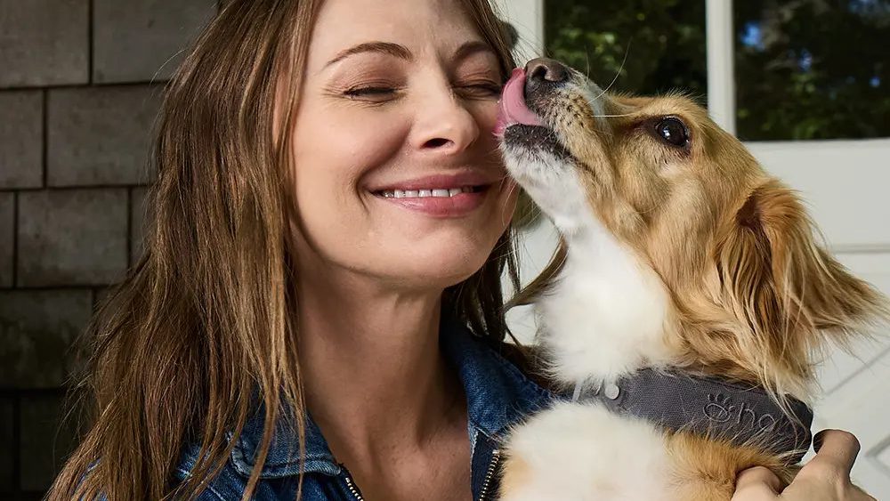 15-incredible-pet-tech-gifts-to-grab-black-friday-2025