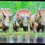 this-lg-tv-is-big-on-vivid-colors-but-lacks-details-in-the-dark