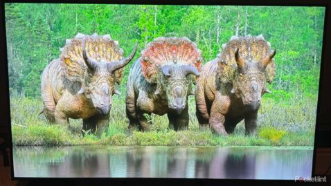 this-lg-tv-is-big-on-vivid-colors-but-lacks-details-in-the-dark